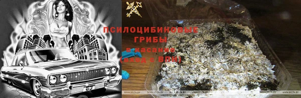 винт Балахна