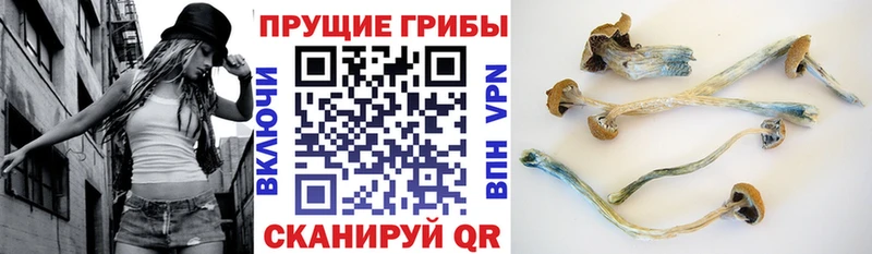 цена наркотик  Первоуральск  Галлюциногенные грибы GOLDEN TEACHER 